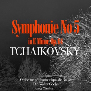 Tchaikovsky : Symphonie No 5 en mi mineur