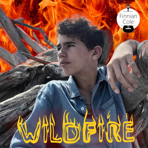 Wildfire