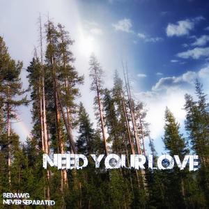 Need Your Love