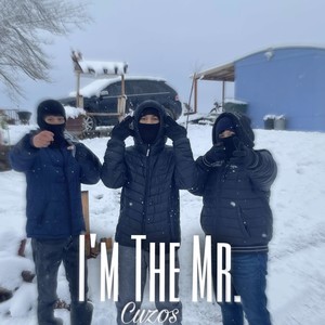 Im The Mr. (Explicit)