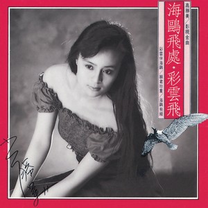彩云飞封面