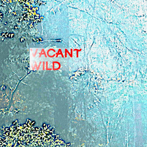 Vacant Wild