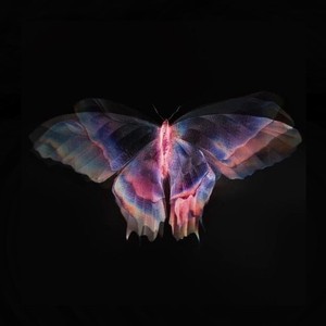 Butterflies (Explicit)