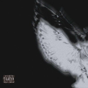 Sирин и Алконост (Explicit)