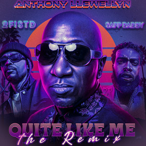 Quite Like Me (Remix|Explicit)