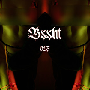 BSSHT013