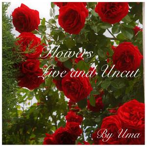 Flowers: Live and Uncut