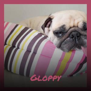 Gloppy