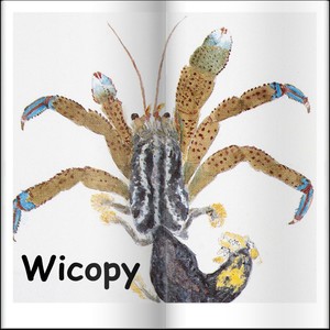 Wicopy