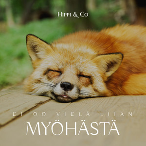 (Ei oo vielä liian) Myöhästä