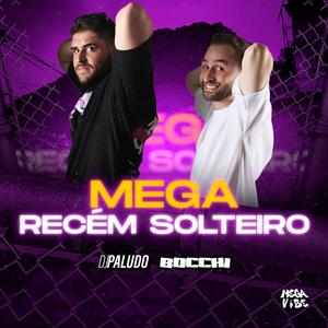 Mega Recém Solteiro (feat. DJ Paludo)