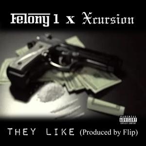 They Like (feat. Felony 1) [Explicit]