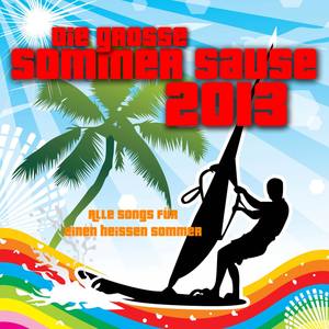 Die grosse Sommer Sause 2013 - Alle Songs für einen heissen Sommer
