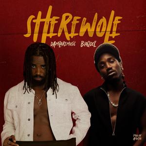 Sherewole (feat. Blaqdee)