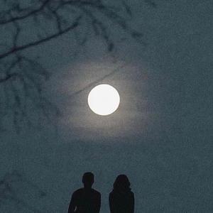 One more night (Explicit)