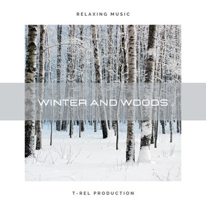 Winter And Woods