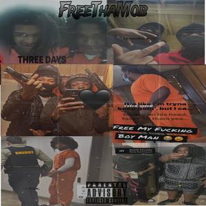 FreeThaMob (Explicit)