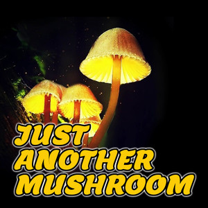 Just Another Mushroom