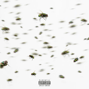 Swarm  (Feat. Minbroskii, Dor1ki, Toru, Hijvc Kid, NY Dogg) (Flies Remix)