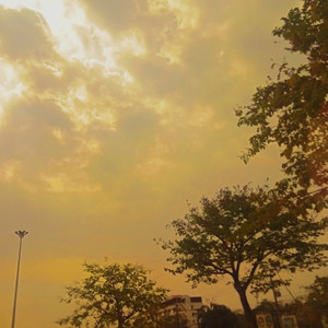 Your True Way (Slowed)