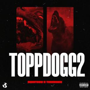 ToppDogg (Gmix) (feat. TerenceG) [Explicit]