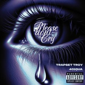 Please Don't Cry (feat. 401Qua) [Explicit]