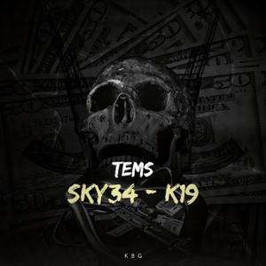 Tems (feat. K19) (Explicit)