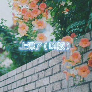 春娇与志明 (DJ版)