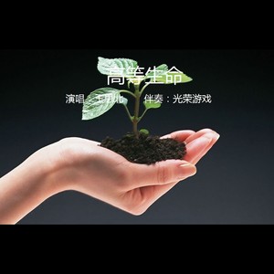 高等生命