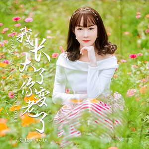 我长大了，你变老了 (DJ版)封面