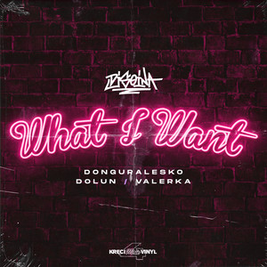 What I Want (Explicit)