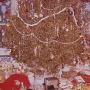 BOOTLEG M. (feat. DONTE MILLZ)