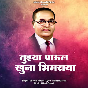 Tuzya Paul Khuna Bhimraya