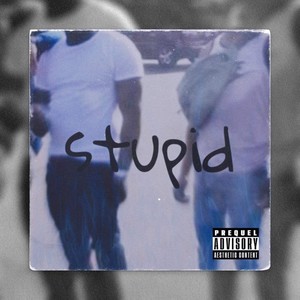 Stupid (feat. Madfellaoriginal) (Explicit)