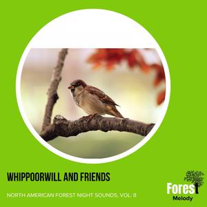Whippoorwill and Friends - North American Forest Night Sounds, Vol. 8