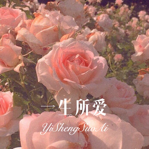 AG超玩会梦泪 (Remix)