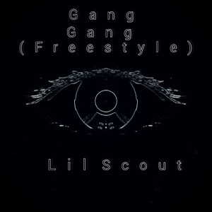 Gang Gang Freestyle (Explicit)