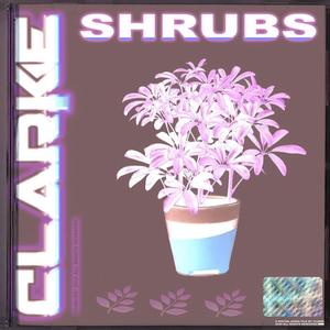 SHRUBS (Explicit)