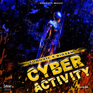 Cyber Activity (Explicit)