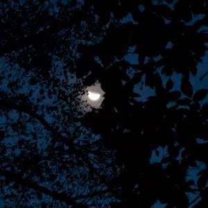 HAPPY BIRTHDAY! (Explicit)