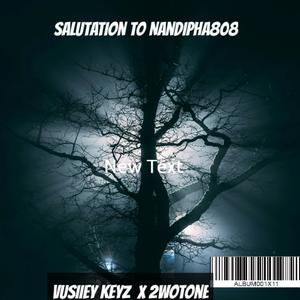Salutation to Nandipha (feat. Scottaymow & Gee'lokiey)