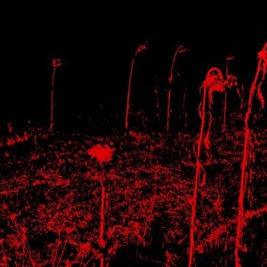 Et De Fumo Exierunt Lucustæ in Terram