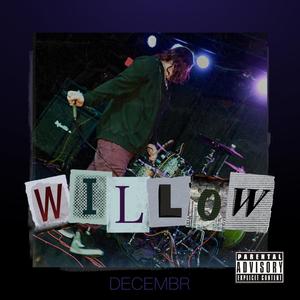 Willow (Explicit)