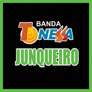 Junqueiro