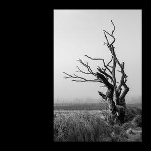 We Can Get There Simply By Surviving