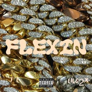 Flexin (feat. LilQ2x) (Explicit)