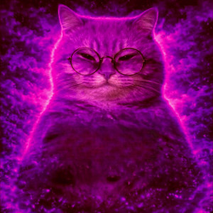 MONTAGEM MIAU AY MI GATITO