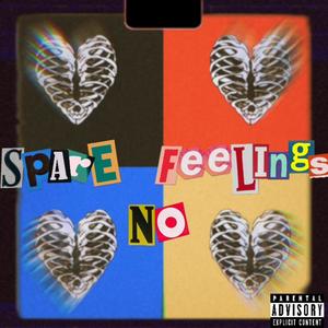 Spare No Feelings (Explicit)