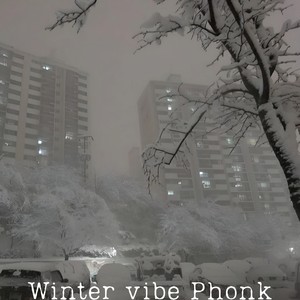 Winter Vibe Phonk