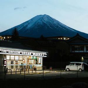 The Oregon Organ Market